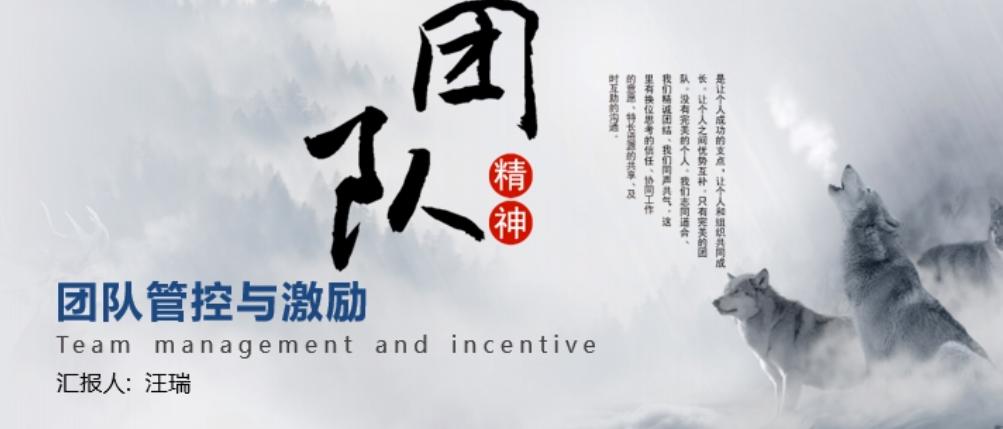 团队管控与激励